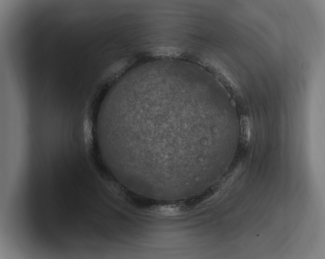 X0000102310692200808011423