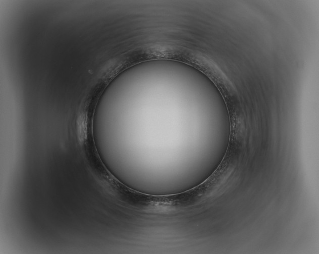 X0000102310694200808011423