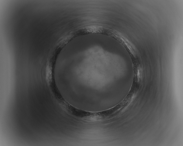 X0000102310696200808011423