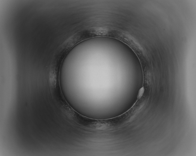 X0000102310697200808011423