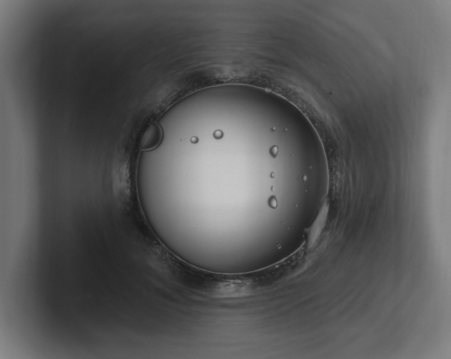 X0000102310700200808011423