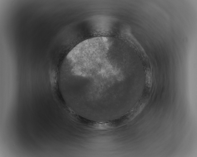 X0000102310701200808011423