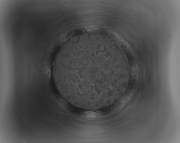 X0000102310703200808011423