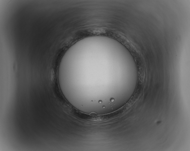 X0000102310704200808011423