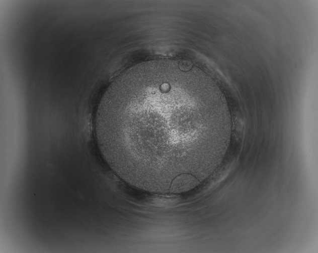 X0000102310707200808011423