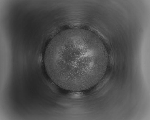 X0000102310711200808011423