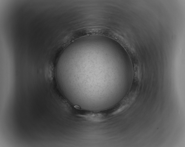 X0000102310712200808011423