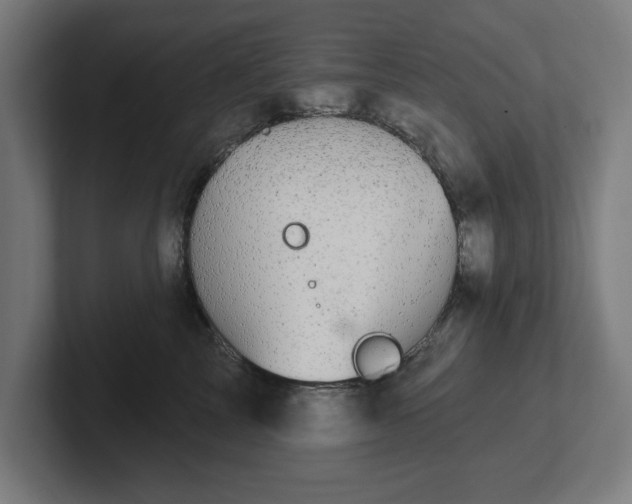 X0000102310713200808011423