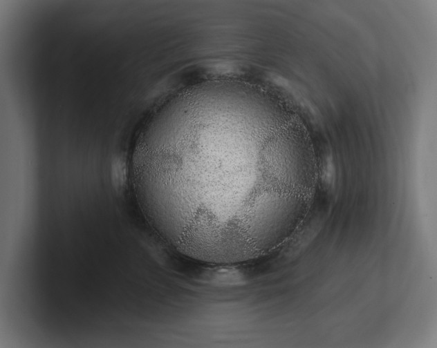 X0000102310715200808011423