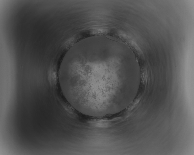 X0000102310716200808011423