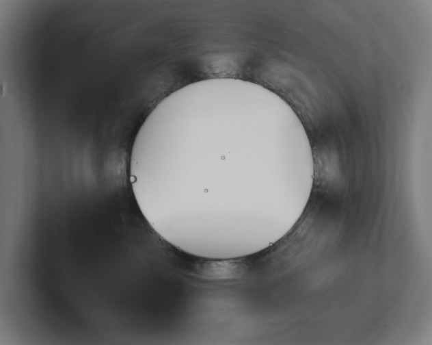 X0000102310717200808011423