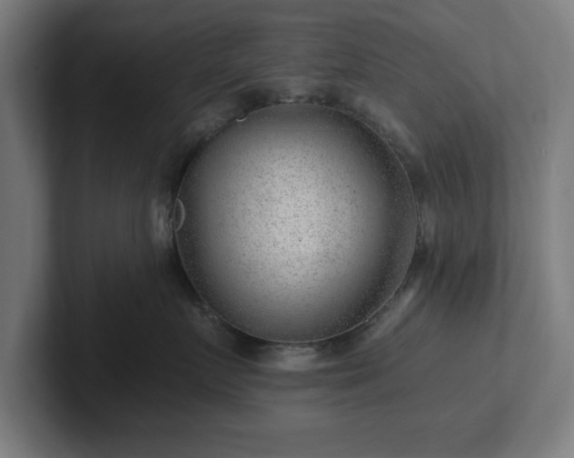 X0000102310719200808011423