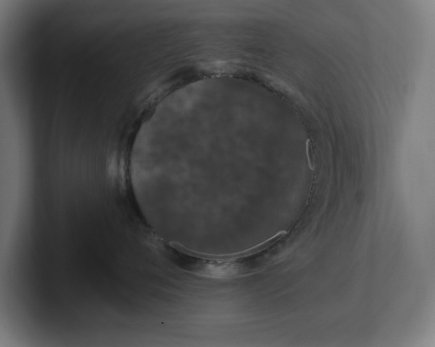 X0000102310720200808011423