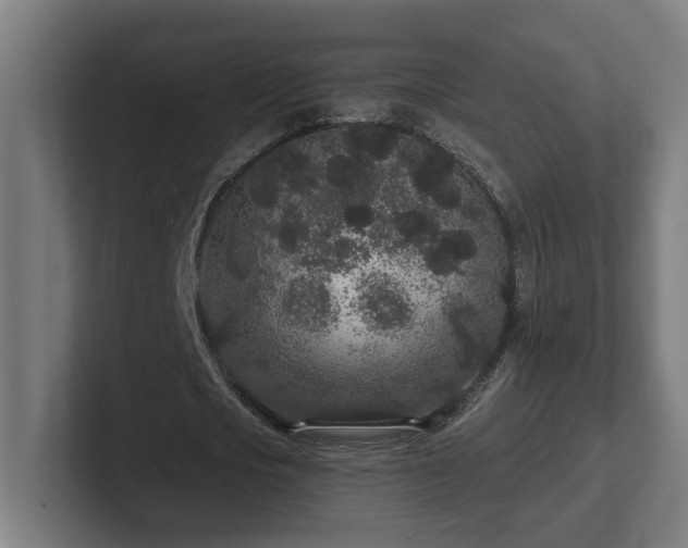 X0000102310721200808011422