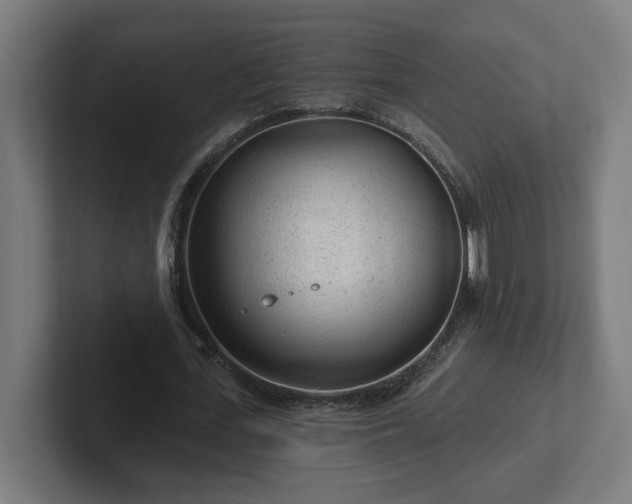 X0000102310723200808011422