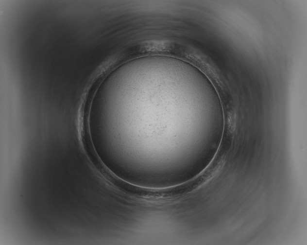 X0000102310725200808011422