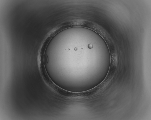 X0000102310726200808011422