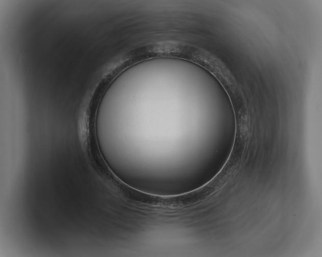 X0000102310727200808011422