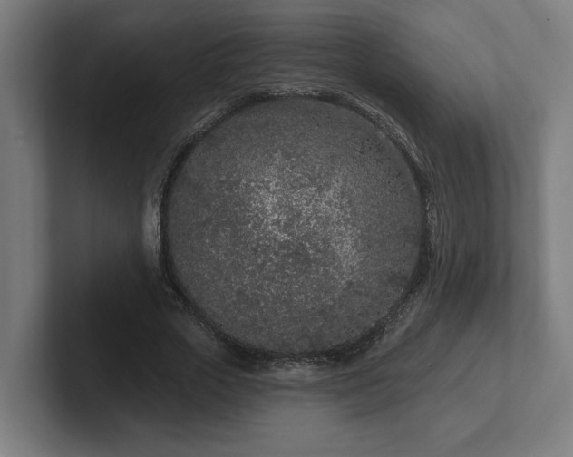 X0000102310729200808011422