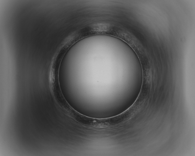 X0000102310731200808011422