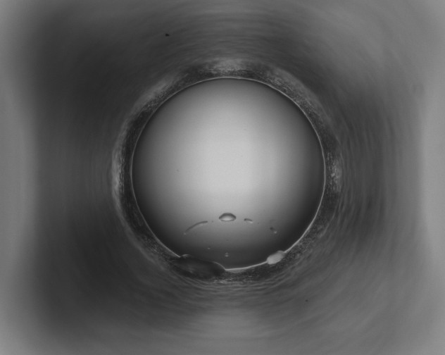 X0000102310732200808011422