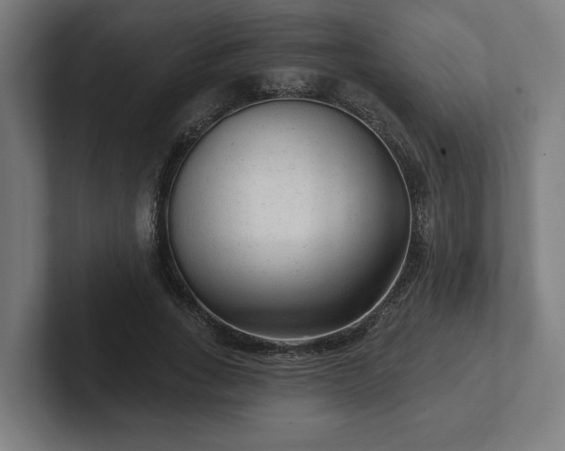 X0000102310735200808011422