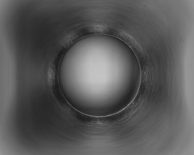 X0000102310739200808011422