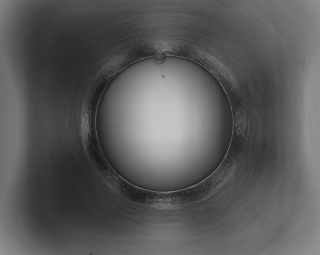 X0000102310740200808011422