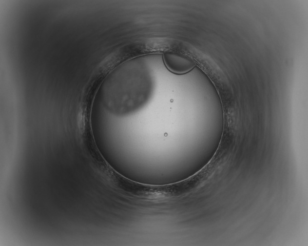 X0000102310741200808011422