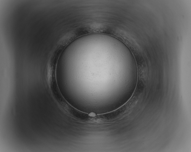 X0000102310742200808011422