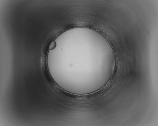 X0000102310744200808011422