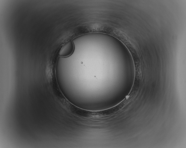 X0000102310746200808011422