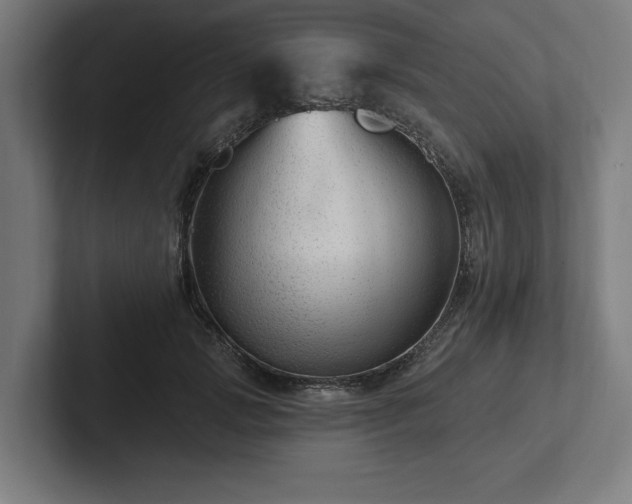 X0000102310749200808011422