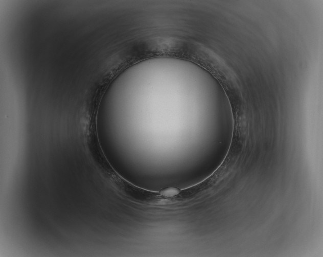 X0000102310750200808011422