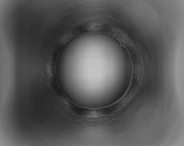 X0000102310755200808011422