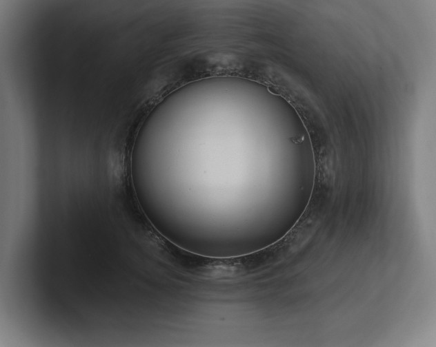 X0000102310756200808011422