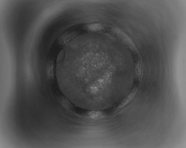 X0000102310762200808011422