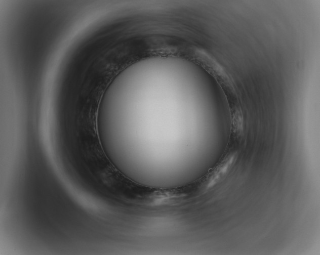 X0000102310764200808011423