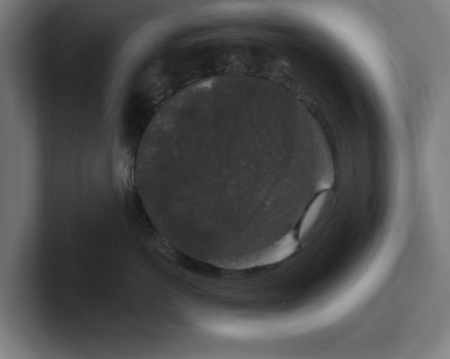 X0000102310766200808011423