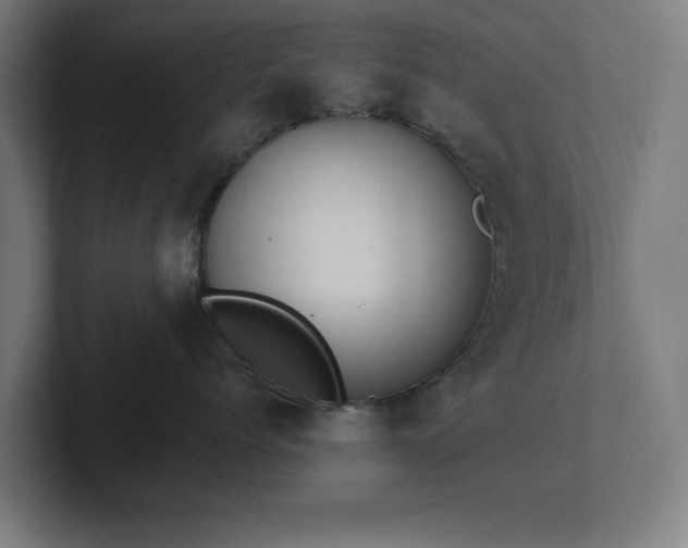 X0000102310768200808011423