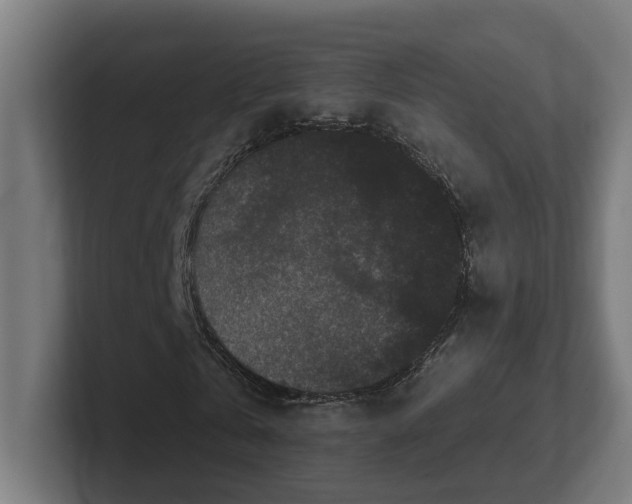 X0000102310769200808011422