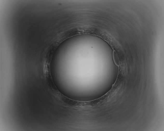 X0000102310770200808011422