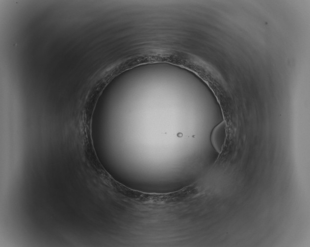 X0000102310773200808011422