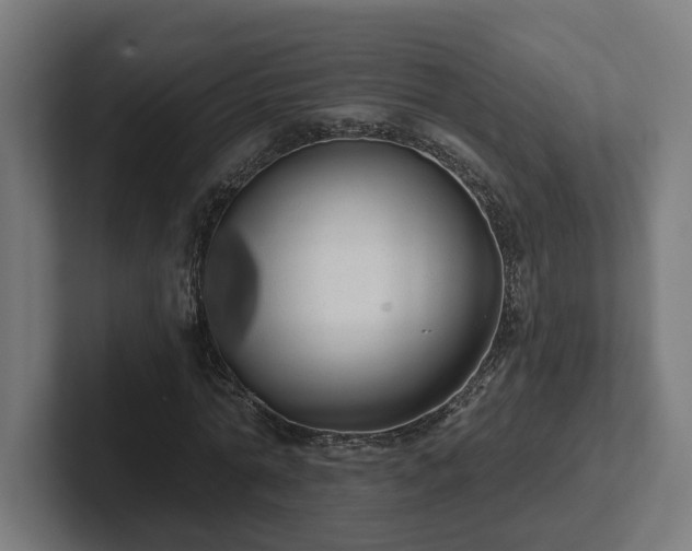 X0000102310774200808011422