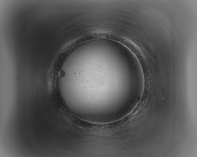 X0000102310775200808011422