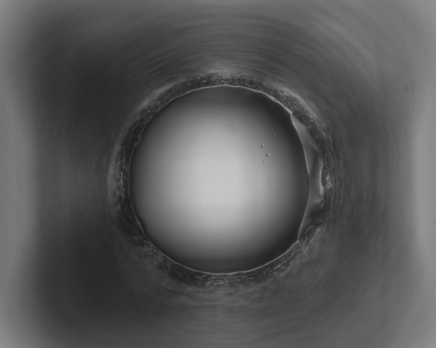 X0000102310776200808011422