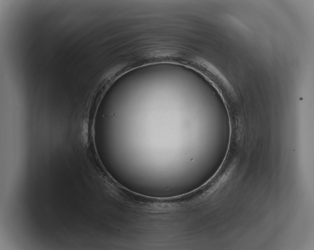 X0000102310777200808011422