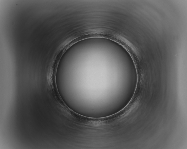 X0000102310778200808011422