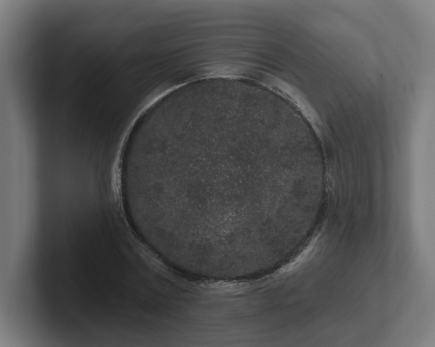 X0000102310779200808011422