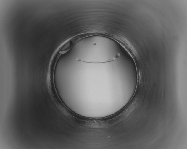 X0000102310780200808011422